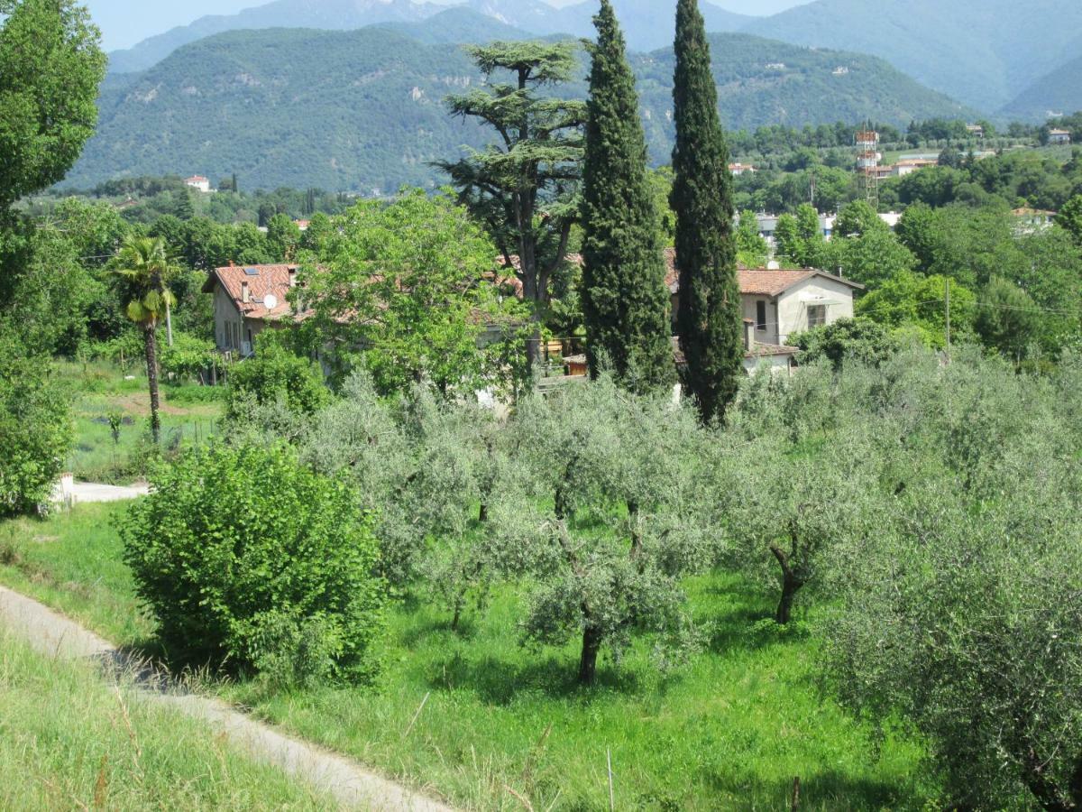 Agriturismo Bonù Gabriele Salò Exterior foto
